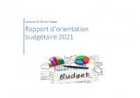 Rapport d’orientation Budgétaire 2021